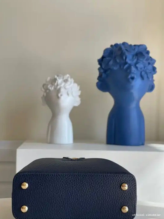 Official oldcobbler LOUIS VUITTON CAPUCINES MINI 0626